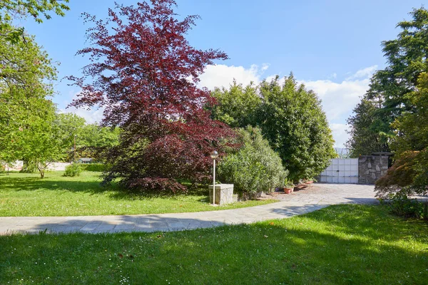 Giardino con prato verde, faggio rosso e sentiero lastricato in pietra in una giornata estiva soleggiata, Italia — Foto Stock