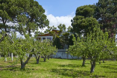 Villa, Bahçe ve meyve bahçesi güneşli bir yaz gününde, Italya