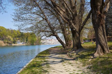 Eski ağaçlar ve güneşli bir günde insanlar ile Po nehir banka yolu, Piedmont, Torino, Italya mavi gökyüzü