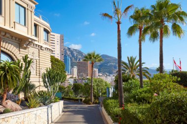 Monte Carlo, Monako'da güneşli bir yaz gününde tropik bitki örtüsü ve gökdelenler ile Monte Carlo yaya caddesi ve bahçesi.