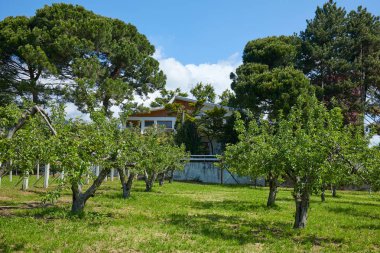 Villa, Bahçe ve meyve bahçesi güneşli bir yaz gününde, Italya