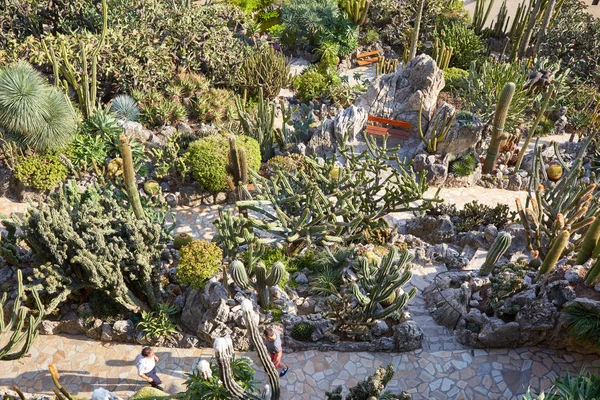 Het exotische Tuinpad met zeldzame succulente planten en mensen in een zonnige zomerdag in Monte Carlo, Monaco. — Stockfoto