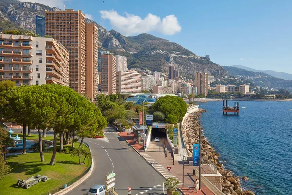 Monte Carlo coast with skyscrapers, maritime pines and sea in a sunny summer day in Monaco — Stock Photo, Image