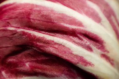 Beyaz damarlı kırmızı lahana yaprağı closeup