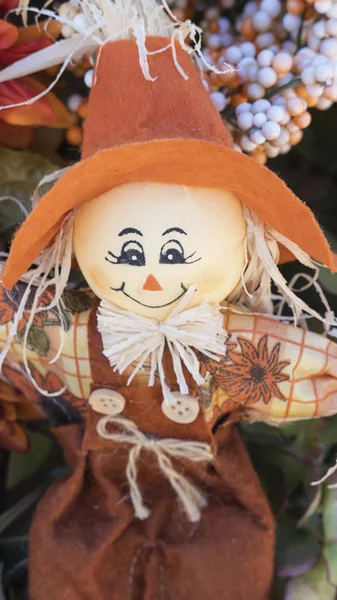 Strach Wróble Ładny Lalka Uśmiechający Się Duży Pomarańczowy Kapelusz Pionowe — Zdjęcie stockowe