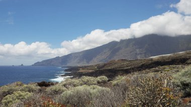 Endemik bitki örtüsü, odaklanma ile adanın kuzey kesiminde kıyı görüş Charco Azul, El Hierro, Kanarya Adaları, İspanya için yürüyüş yolu üzerinde