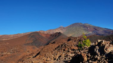 Montana Samara Teide Milli Parkı'nda, en sıradışı volkanik manzara Pico del Teide, Pico Viejo, Las Cuevas Negras ve açık çam ormanlar, Tenerife, Kanarya Adaları manzaralı biri