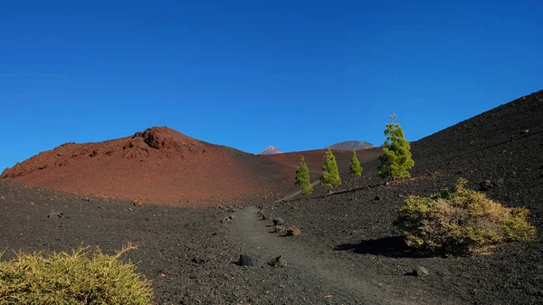 Väg Genom Månens Landskap Montana Samara Nationalparken Teide Mest Alien — Stockfoto