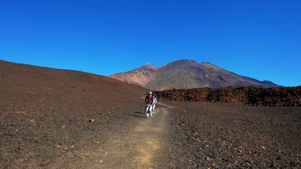 Montana Samara Parque Nacional Teide Tenerife Ilhas Canárias Espanha Janeiro — Fotografia de Stock