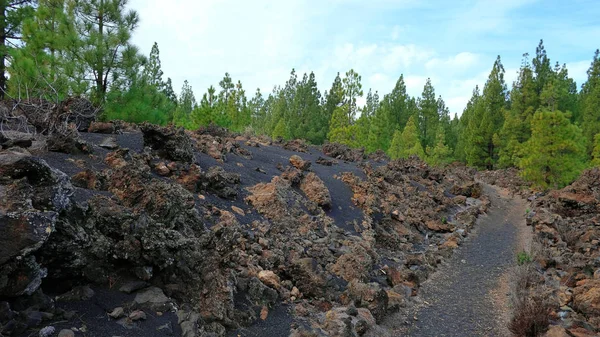 Sentier Volcanique Travers Paysage Aride Rugueux Réserve Naturelle Spéciale Chinyero — Photo