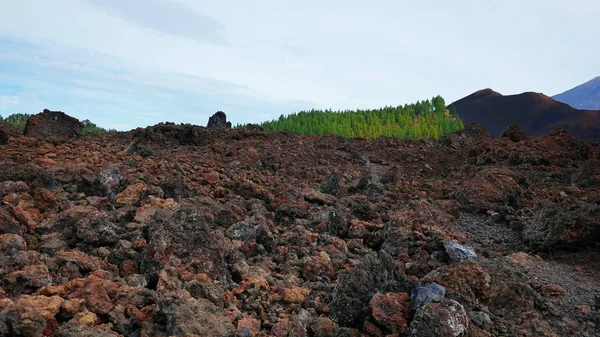 Sentier Volcanique Travers Paysage Aride Rugueux Réserve Naturelle Spéciale Chinyero — Photo