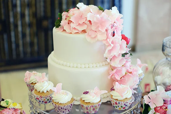 Elegant Simple Two Tiered Cake Covered White Royal Icing Pink — Stock Photo, Image