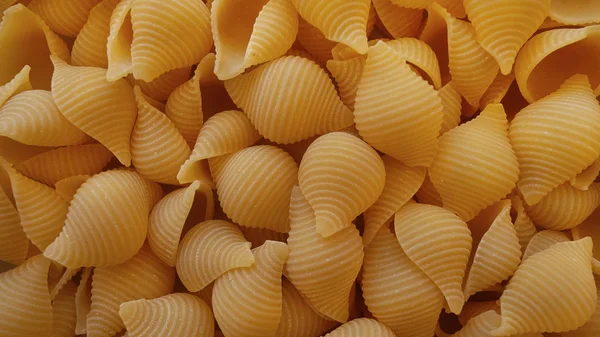 Food Background Dry Conchiglie Rigate Pasta Made Plain Durum Wheat — Stock Photo, Image