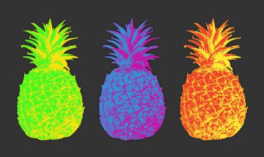 Yaprakları ile üç egzotik ananas seti koyu bir arka plan karşı ayarlayın. Kumaş veya kağıt baskı, iç dekor veya moda ilham gibi seçici renkler ile dekoratif çizim gibi stilize görüntü.