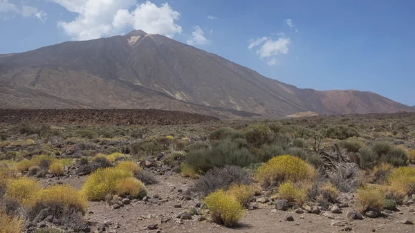 Klassisk Destination Naturskön Utsikt Över Pico Del Teide Las Canadas — Stockfoto