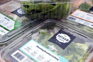 Gotham Yeşiller, Brooklyn, New York, Usa 'dan paketlenmiş sebzeler - 8 Aralık 2016: yerel üretim sebzeler, lahanalar ve yapraklar plastik kaplarda paketlendi ve Gotham Yeşiller kentsel tarım tarafından satıldı