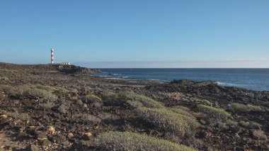 Kurak manzara Malpais de la Rasca, deniz feneri veya Faro Punta de Rasca, görüş ile Palm-Mar şehir yakın bir doğal rezerv ve endemik bitki örtüsü, Tenerife, Kanarya Adaları, İspanya