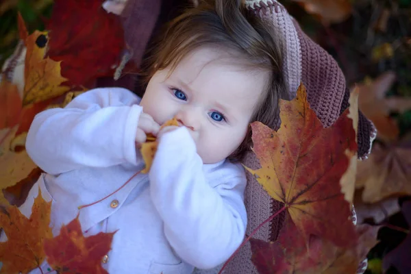 Ritratto Adorabile Bambina Caucasica Con Occhi Azzurri Lunghi Capelli Castani — Foto Stock