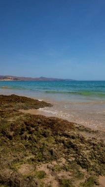 Kosta Calma, adanın güneydoğusunda el değmemiş bir sığ su turkuaz plajı, Fuerteventura, Kanarya Adaları, İspanya 'daki büyük yüzme ve su sporları fırsatlarıyla turistleri eğlendiriyor.