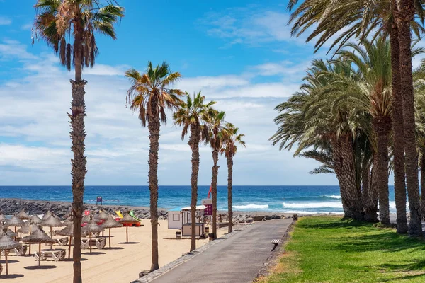 Las Amerika Tenerife Playa Del Camison Yolu Yüzmek Güneşlenmek Için — Stok fotoğraf