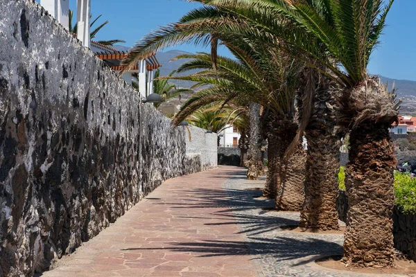 Küçük Alcala kasabasını limana bağlayan boş bir patika, bir tarafında taş bir duvarla korunan plajlar ve oteller, diğer tarafında Tenerife, Kanarya Adaları, İspanya 'da büyük palmiyeler var.