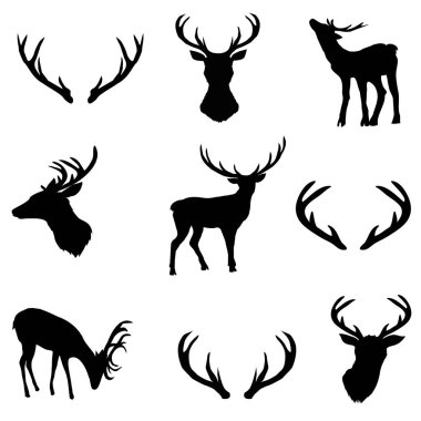 geyik siluetleri vektör geniş koleksiyon