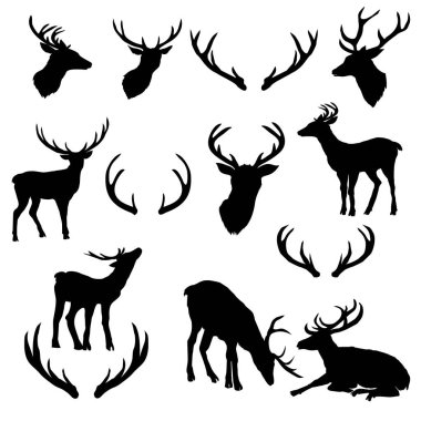 geyik siluetleri vektör geniş koleksiyon