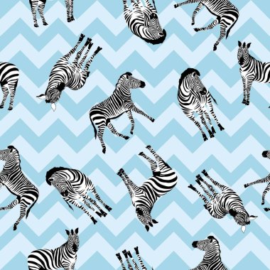 Zebra desen, illüstrasyon, hayvan.