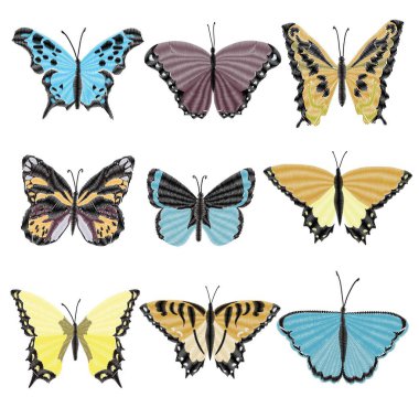 Nakış kelebek Tasarım Giyim için. böcek vektör dekorasyon. izole