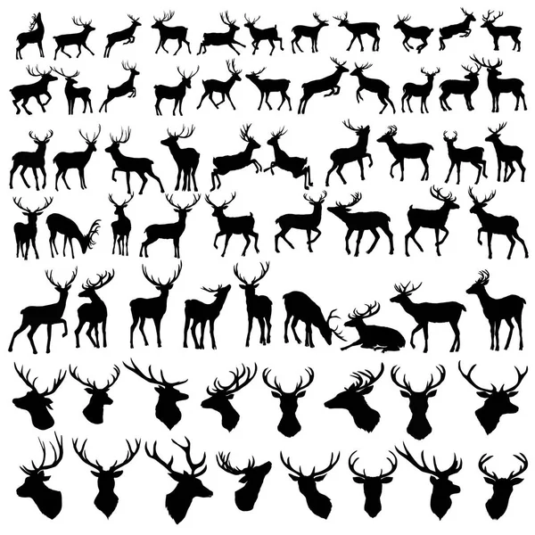 Vektor stor samling af hjorte silhuetter – Stock-vektor
