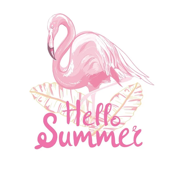 Flamingo roz ilustrație vector — Vector de stoc