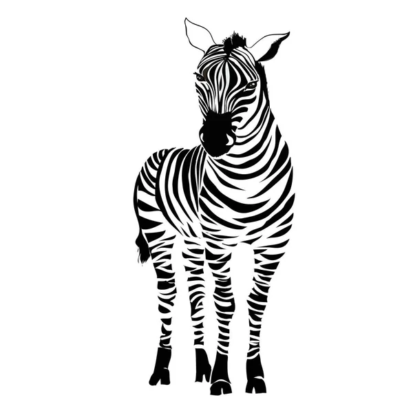 Logo with the head of a zebra. Flat zebra portrait for card, placard, invitation, book, poster, note book, sketch book. — Stock Vector