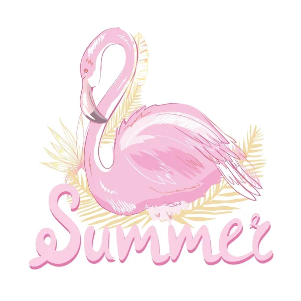 Pink flamingo vector illustration — Stock Vector