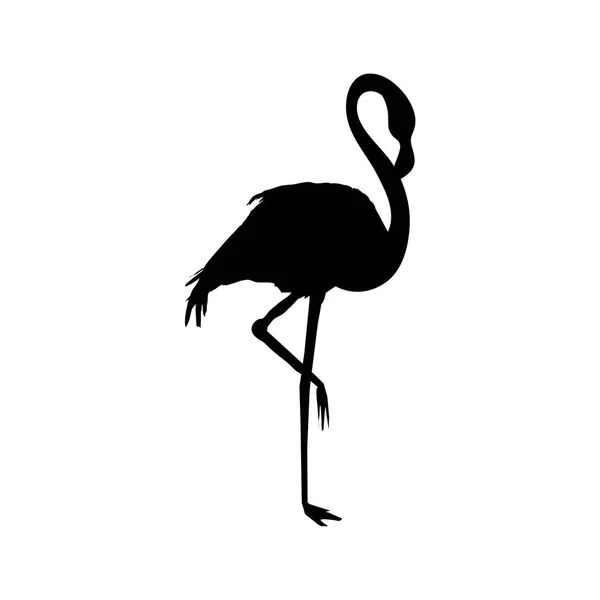 Vector bestand van flamingo — Stockvector