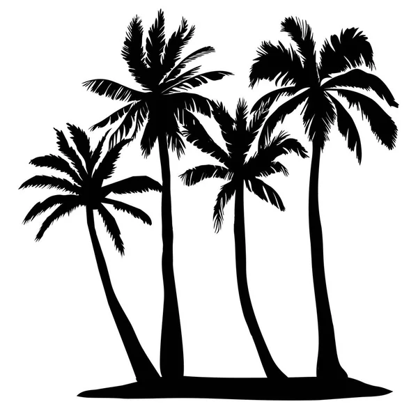 Black vector single palm tree silhouette icon isolated — Stock Vector