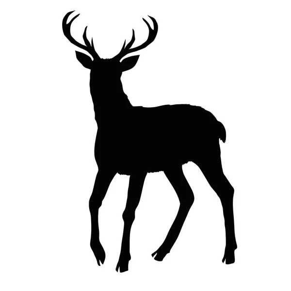 Silhouette di cervo, vettore, illustrazione — Vettoriale Stock