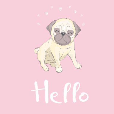 Şirin pug ve pembe bir arka plan, köpek vektör, illüstrasyon mutlu yüz.