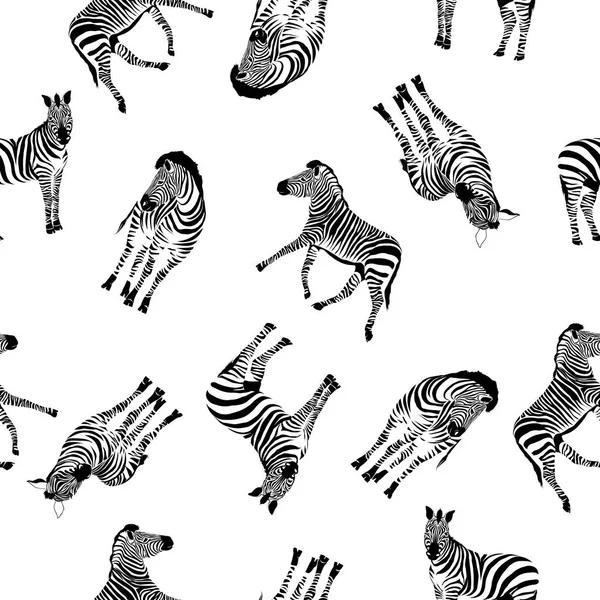 Padrão Zebra Ilustração Animal —  Vetores de Stock