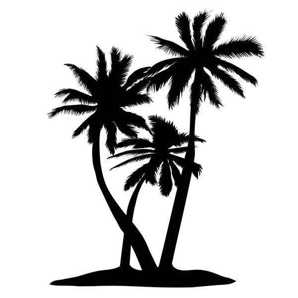 Vektorové Palm Tree Silueta Ikony Bílém Pozadí — Stockový vektor