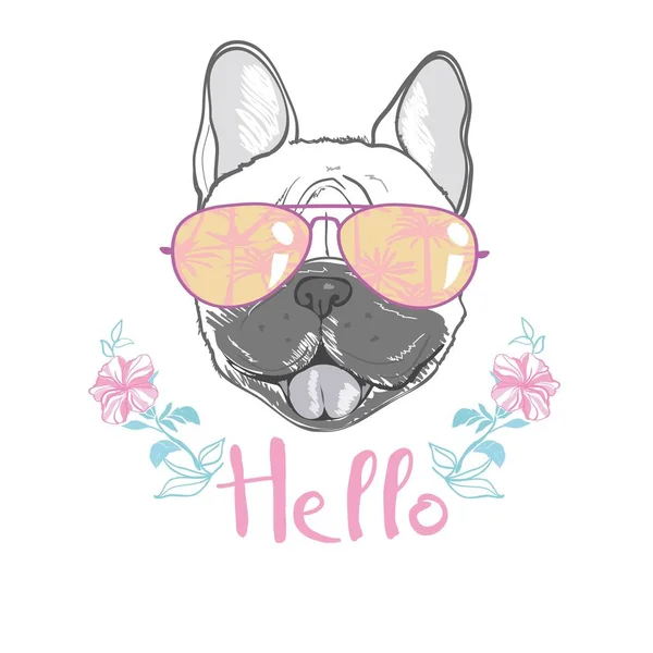 Chiot Carlin Chien Bouledogue Mignon Illustration Vectorielle — Image vectorielle