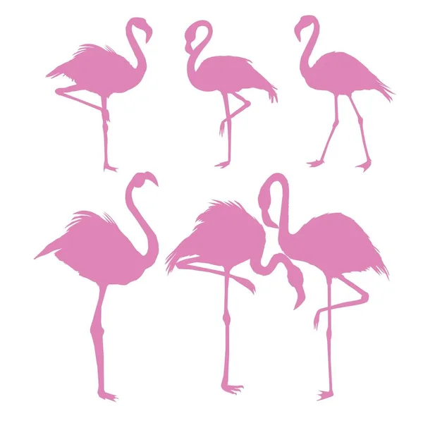 Flamingo silhouette Vector Art Stock Images | Depositphotos