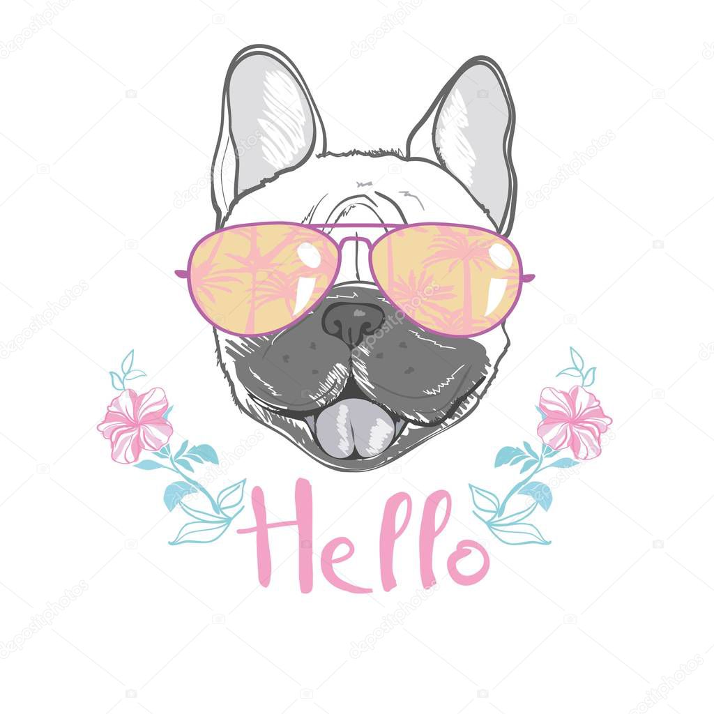 Puppy Pug , dog ,bulldog cute Vector illustration