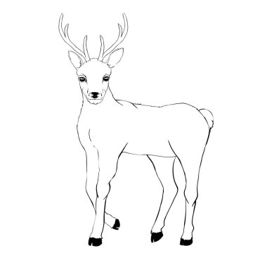 Çizim geyik