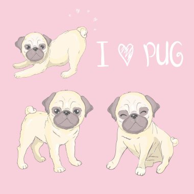 Pug yavrusu