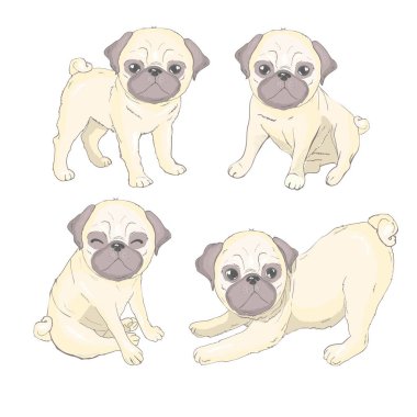 Pug köpek yavrusu, illüstrasyon, vektör sevimli köpek hayvan