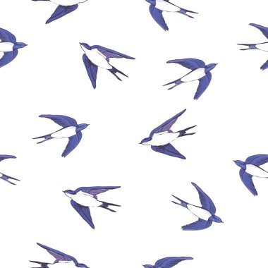 Swallow desen - vektör, illüstrasyon