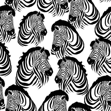 Zebra desen, illüstrasyon, hayvan.