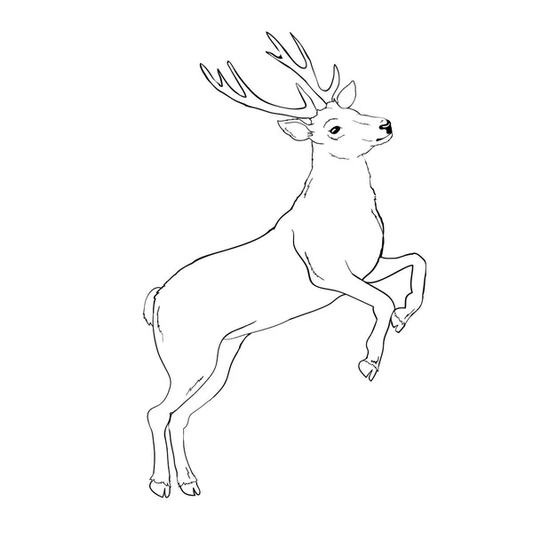 Deer Silhouette Sketch Vector Illustration Animals White Background — Stock Vector