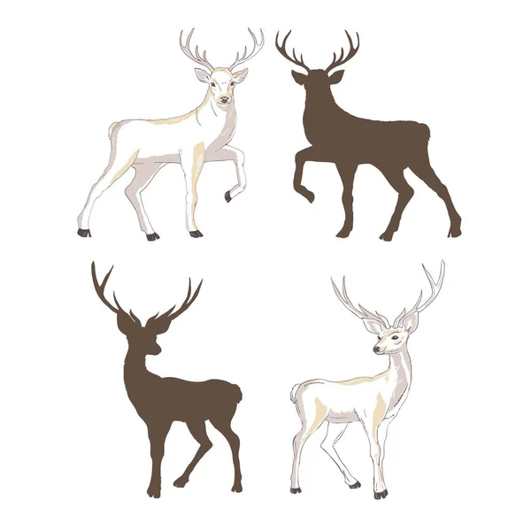鹿剪影和剪影 设置在白色背景 动物图片 — 图库矢量图片