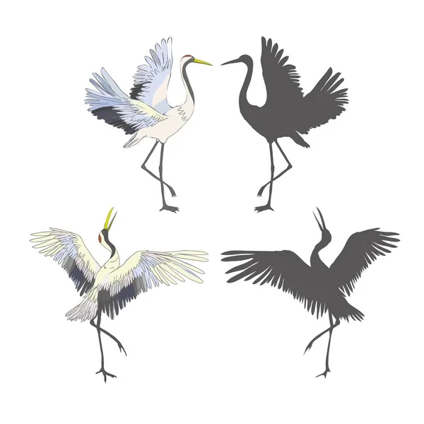 クレーンのスケッチ 白い背景 セット シルエット ベクトル イラストの上を飛んでいる鳥 — ストックベクタ